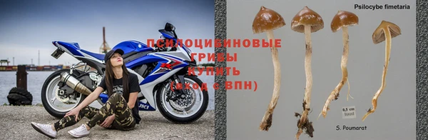 таблы Сосновка