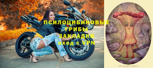 винт Богданович