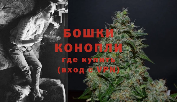 винт Богданович